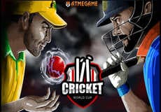 Play Cricket World Cup